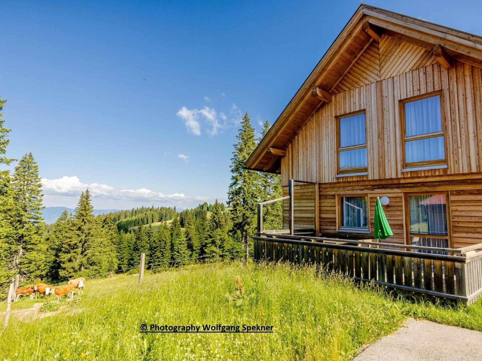 Mountain Hut With Sauna On Weinebene Villa Posch Alpe Ngoại thất bức ảnh