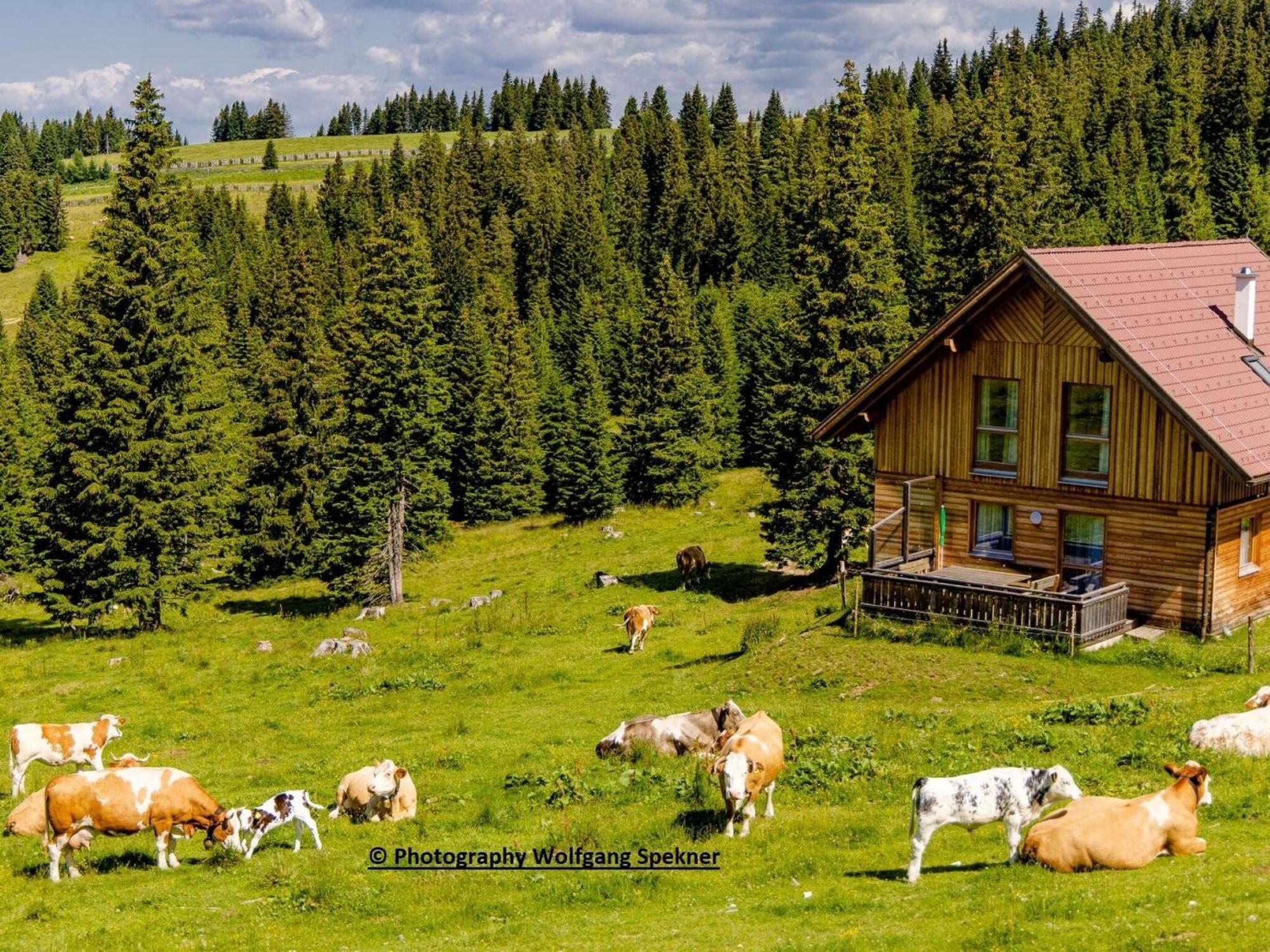 Mountain Hut With Sauna On Weinebene Villa Posch Alpe Ngoại thất bức ảnh